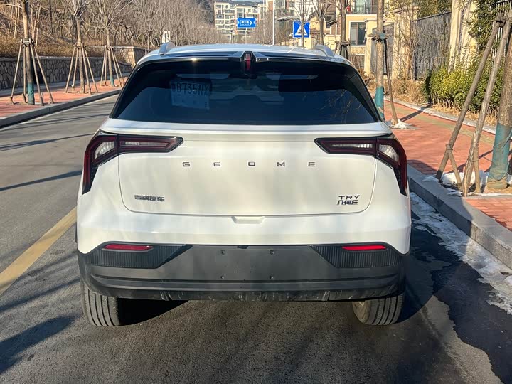 Geely Geometry E Firefly 2024 2024款 301km 星光