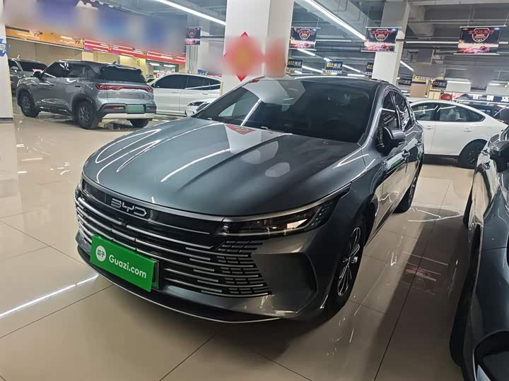 BYD Destroyer 05 2024 2024款 荣耀版 DM-i 55KM 豪华型