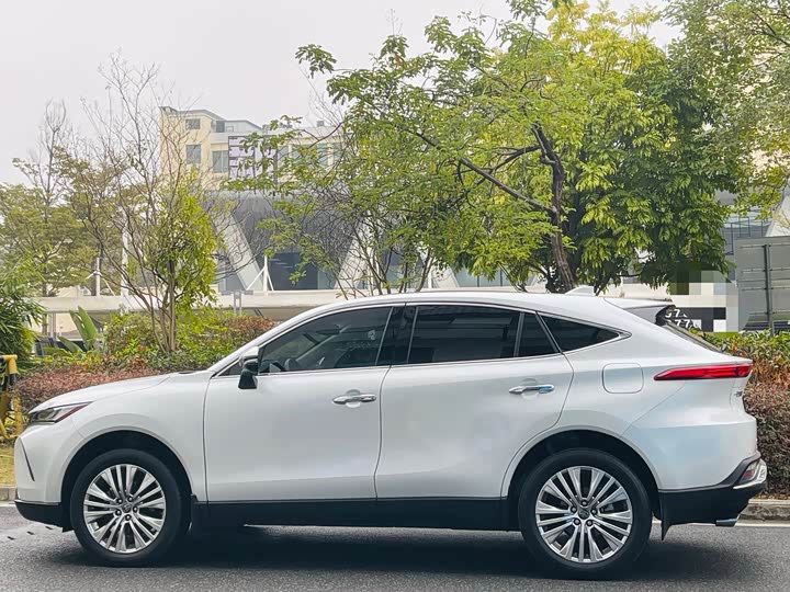 Toyota Harrier 2023 2023款 2.0L CVT两驱尊享版