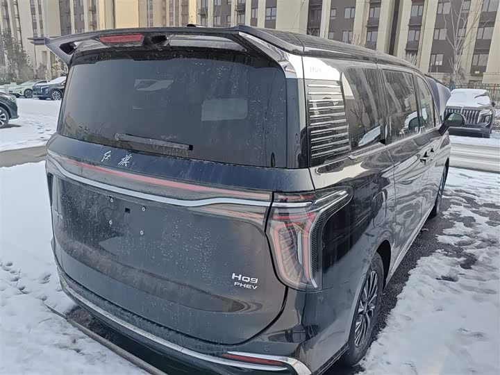Hongqi HQ9 Hybrid 2024 2024款 2.0T 四驱商务版