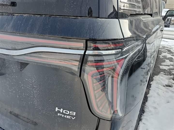 Hongqi HQ9 Hybrid 2024 2024款 2.0T 四驱商务版