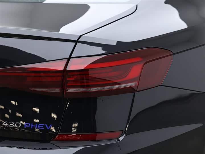 Volkswagen Passat Hybrid 2025 2025款 430PHEV 混动商务版