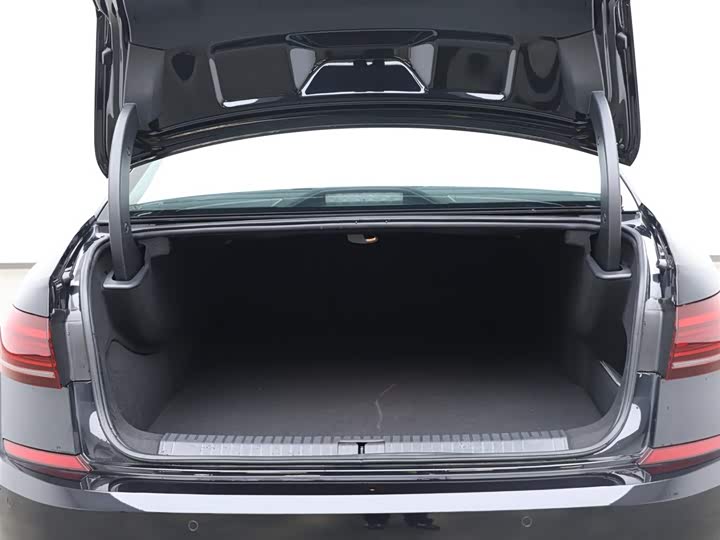 Volkswagen Passat Hybrid 2025 2025款 430PHEV 混动商务版