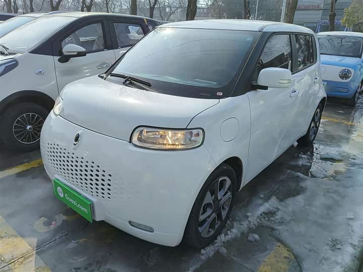 Ora White Cat 2020 2020款 305km 豪华型
