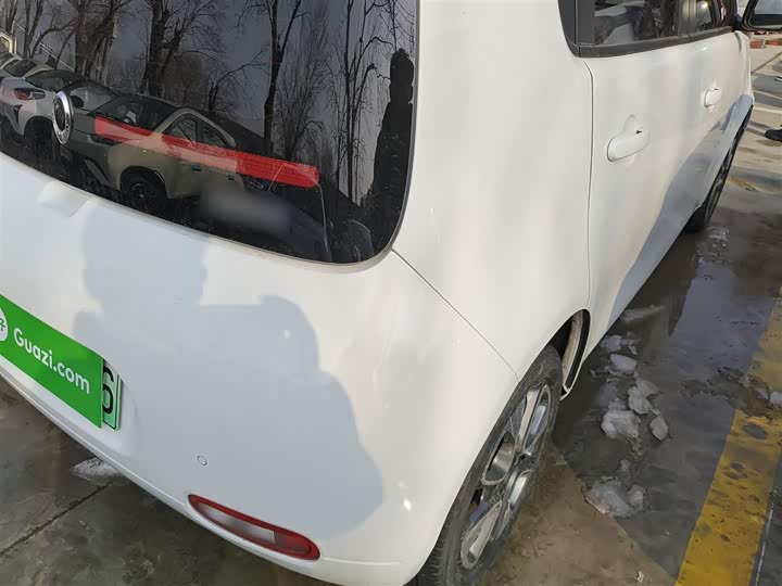 Ora White Cat 2020 2020款 305km 豪华型