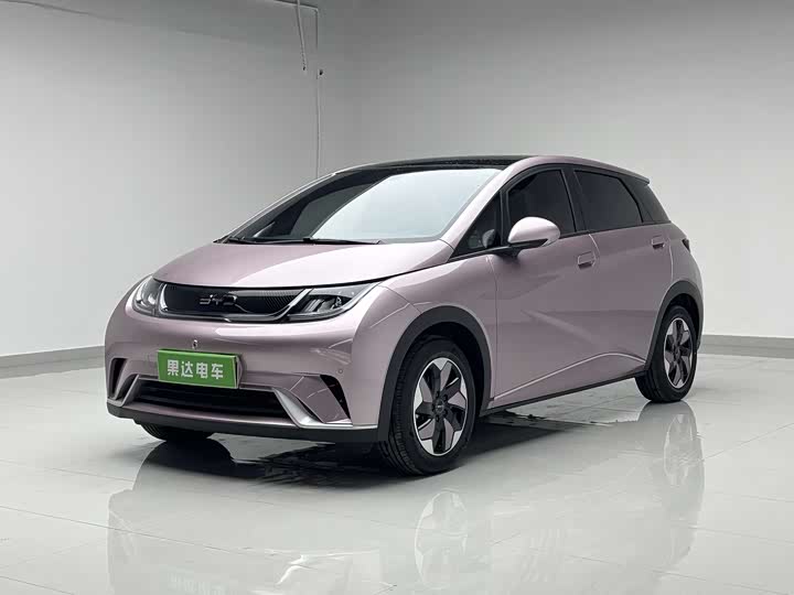 BYD Dolphin 2025 2025款 420km 时尚版