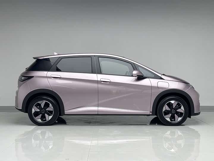 BYD Dolphin 2025 2025款 420km 时尚版