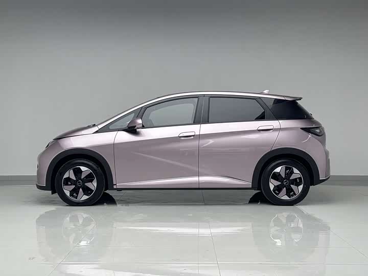 BYD Dolphin 2025 2025款 420km 时尚版