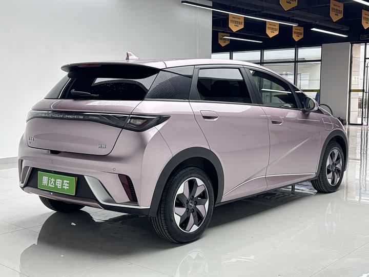 BYD Dolphin 2025 2025款 420km 时尚版