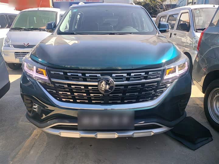 Dongfeng Forthing T5 2022 2022款 盛世款 1.6L 手动筑梦版五座