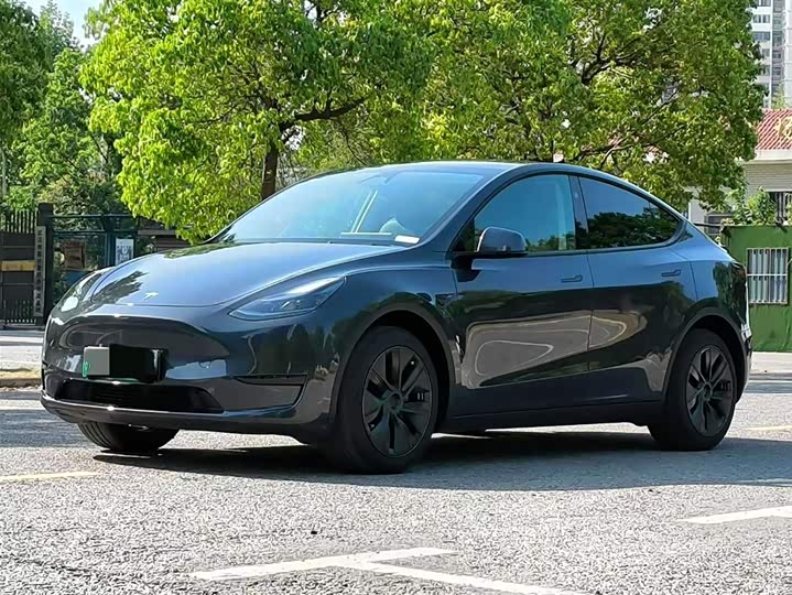 Tesla Model Y 2024 2024款 后轮驱动版