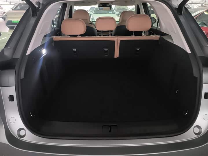 Chery Tiggo 8L 2024 2024款 2.0T 两驱尊贵版 5座