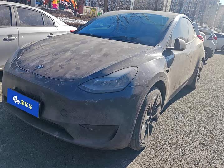 Tesla Model Y 2024 2024款 后轮驱动版