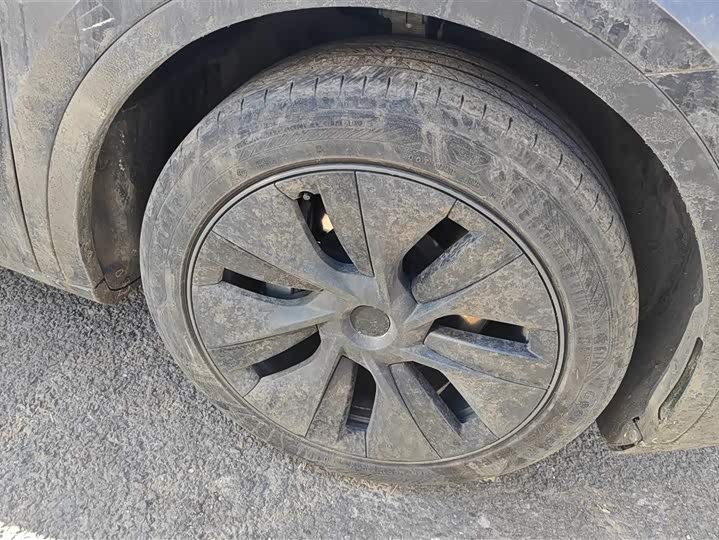 Tesla Model Y 2024 2024款 后轮驱动版