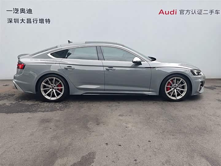 Audi RS 5 2023 2023款 RS 5 2.9T Sportback 常规版