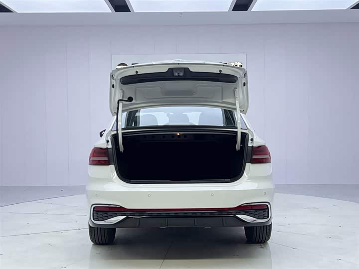 Volkswagen Lavida 2024 2024款 300TSI DSG星空领先版