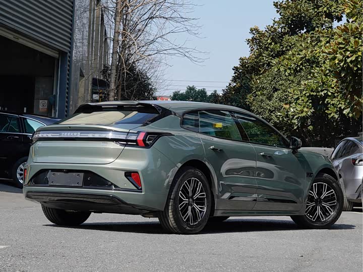 Zeekr 001 2025 2025款 WE版 100kWh 后驱