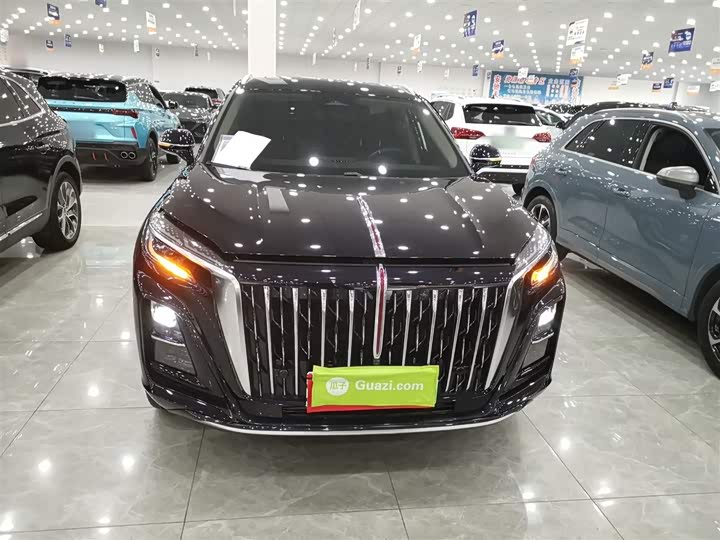 Hongqi HS3 Hybrid 2024 2024款 115km 劲为版