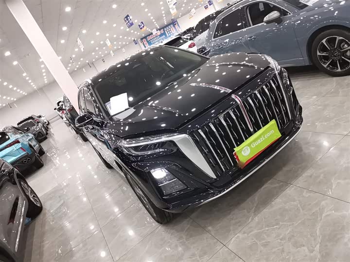Hongqi HS3 Hybrid 2024 2024款 115km 劲为版