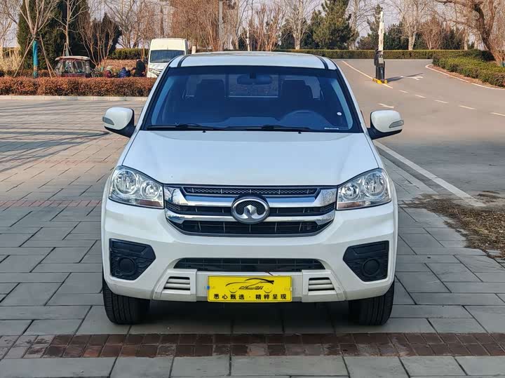 Great Wall Wingle 5 2023 2023款 干饭版 1.5T 汽油两驱进取型长货箱