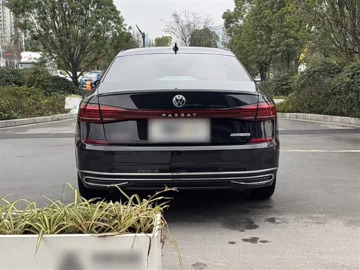 Volkswagen Passat 2025 2025款 出众款 380TSI 星空龙腾版