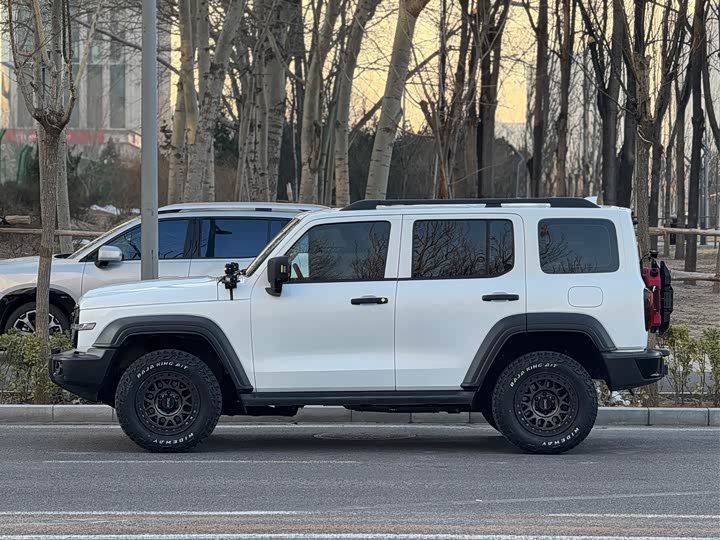 Tank 300 2024 2024款 2.0T 征服者