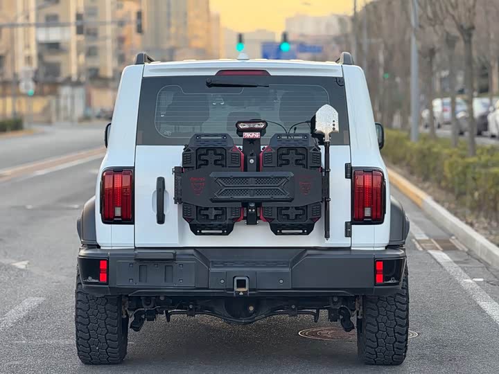 Tank 300 2024 2024款 2.0T 征服者