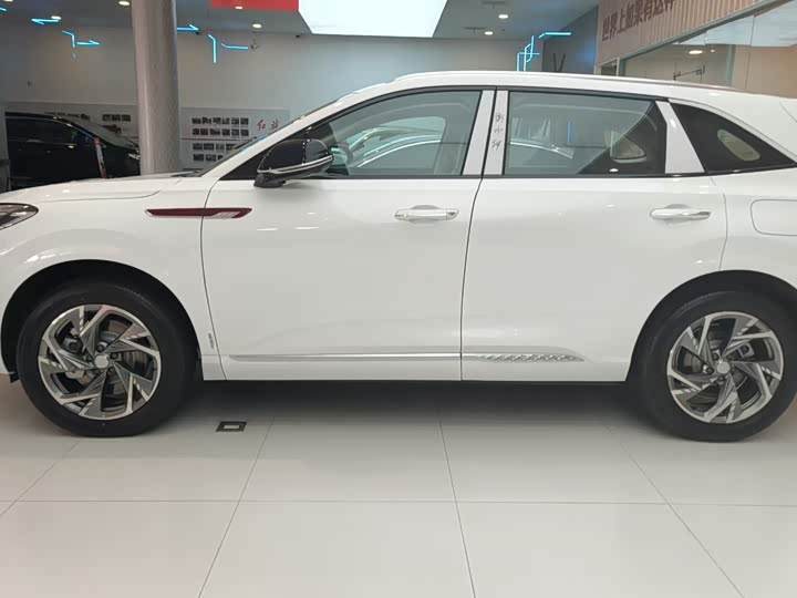 Hongqi HS3 Hybrid 2024 2024款 115km 劲为版