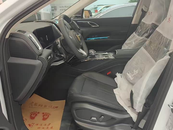 Hongqi HS3 Hybrid 2024 2024款 115km 劲为版