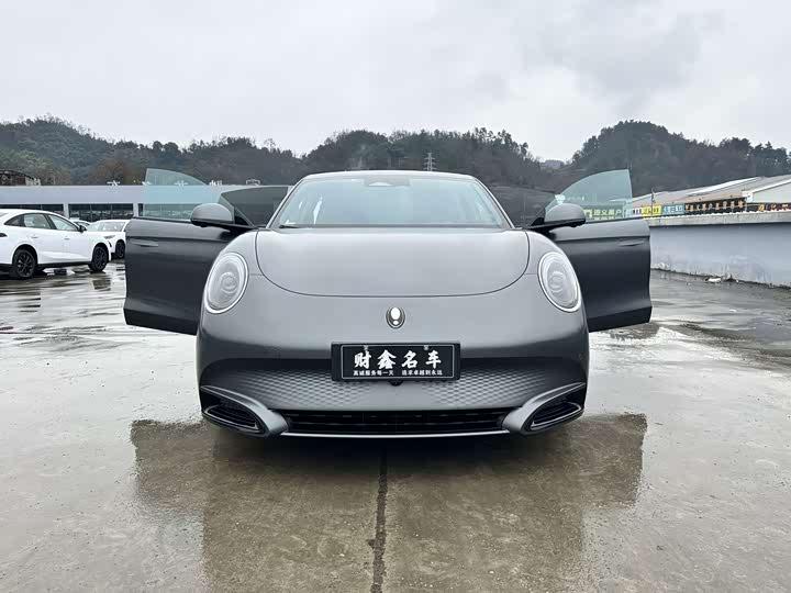 Ora Lightning Cat (07) 2024 2024款 暗夜版 555km 尊贵版