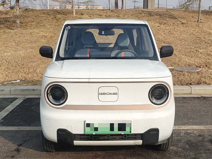 2025 Geely Galaxy Panda Mini