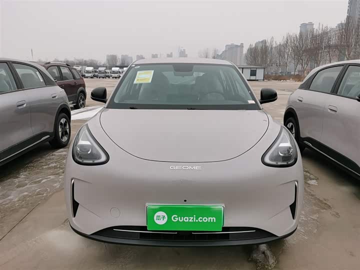Geely Galaxy Geome 2026 2026款 310km 梦想版
