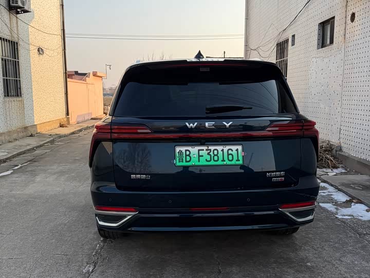 Wey Lanshan 2025 2025款 四驱智驾 Max