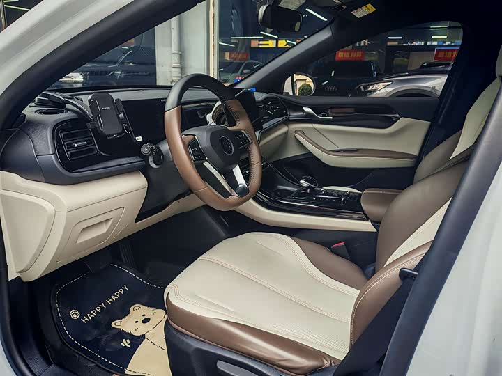 BYD Qin Plus 2025 2025款 DM-i 智驾版 55KM领先型