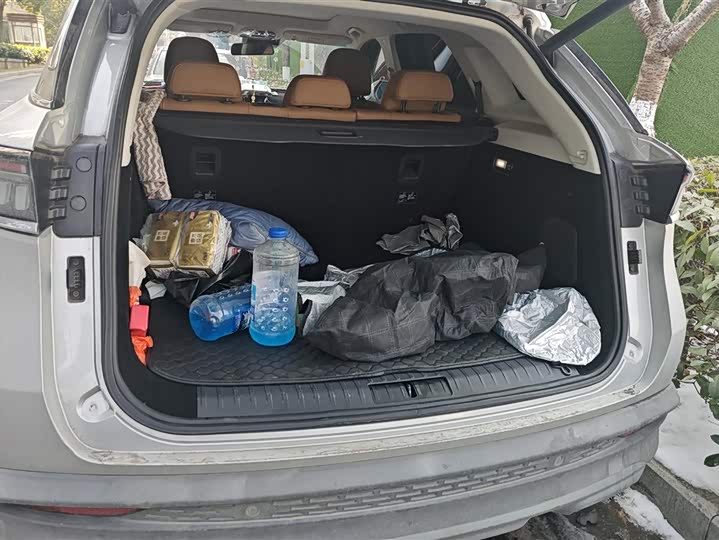 Beijing X7 2020 2020款 1.5TD DCT致领版