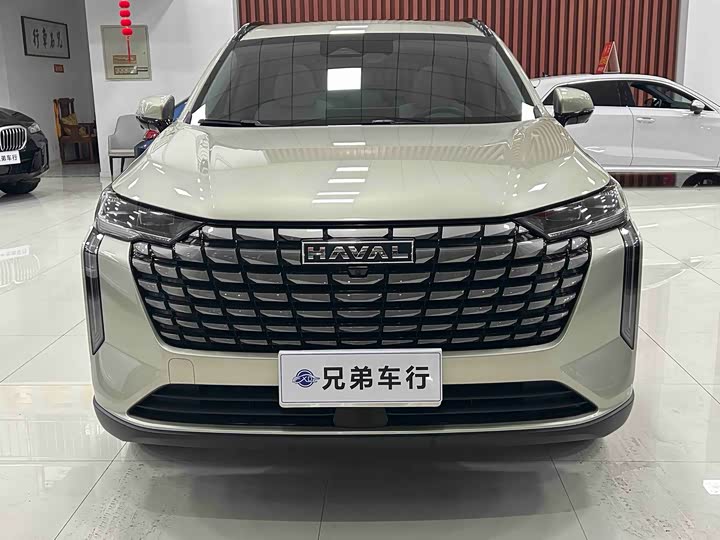 Haval H6 2024 2024款 2.0T 四驱Max