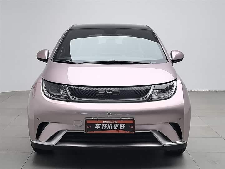 BYD Dolphin 2025 2025款 420km 时尚版