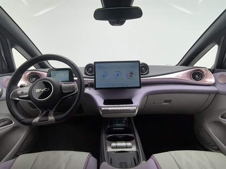 BYD Dolphin 2025 2025款 420km 时尚版