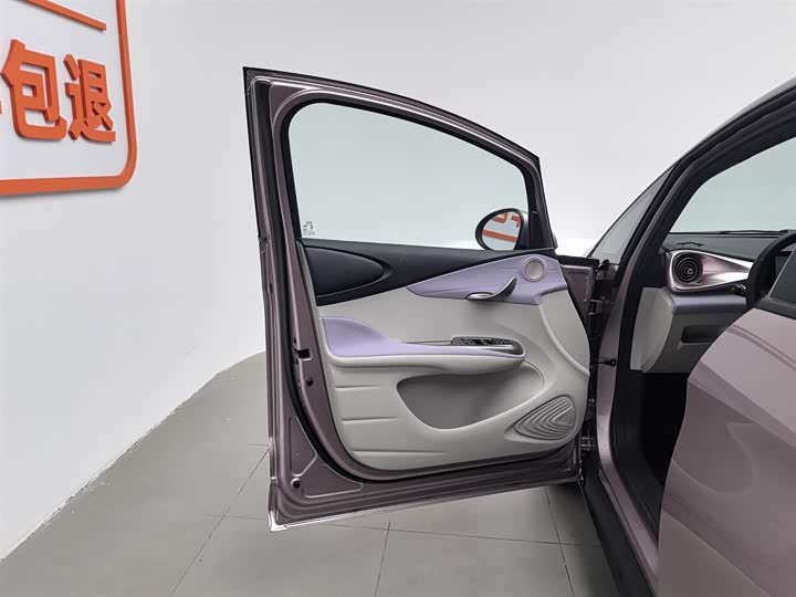 BYD Dolphin 2025 2025款 420km 时尚版