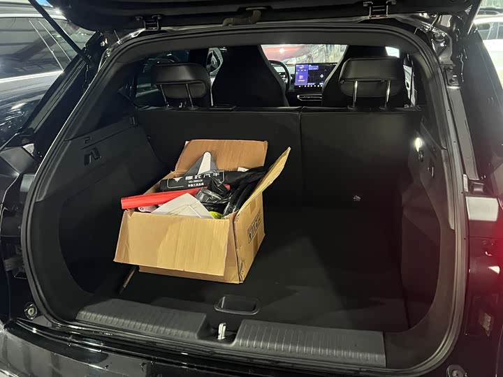 Hozon X 2024 2024款 500 先行版