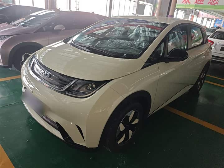 BYD Dolphin 2025 2025款 420km 自由版