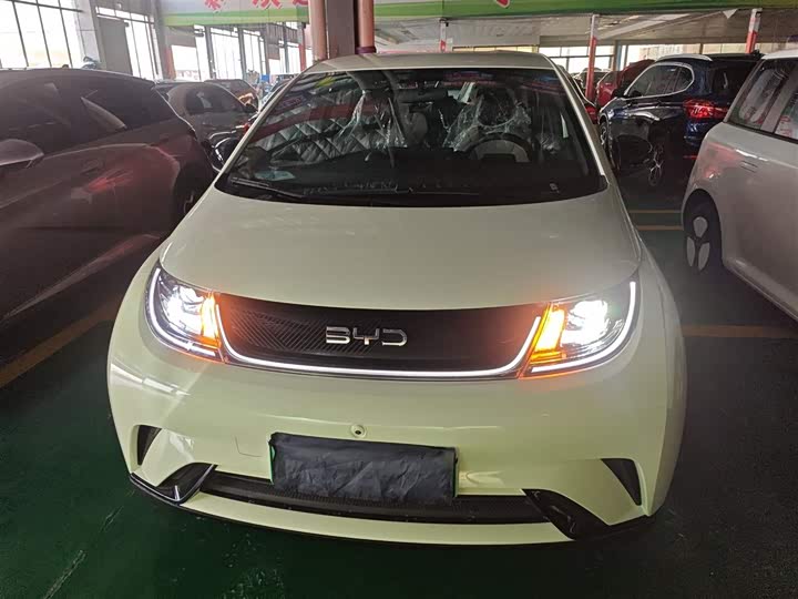 BYD Dolphin 2025 2025款 420km 自由版