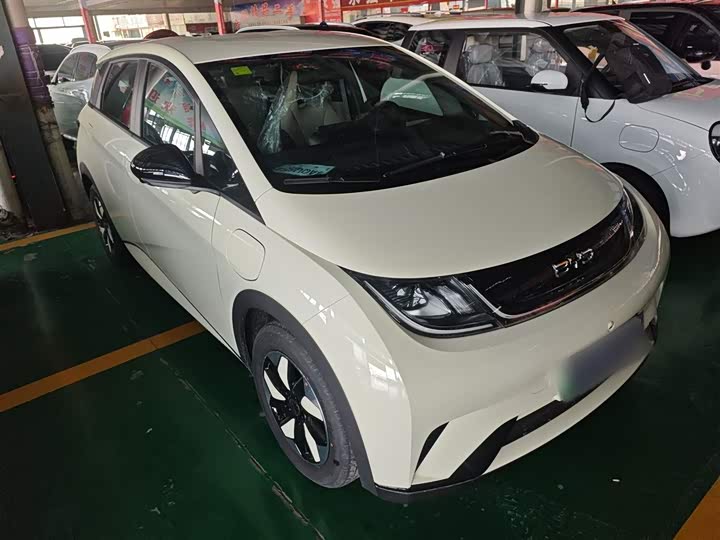 BYD Dolphin 2025 2025款 420km 自由版
