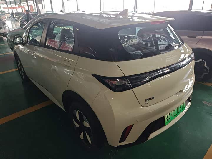 BYD Dolphin 2025 2025款 420km 自由版