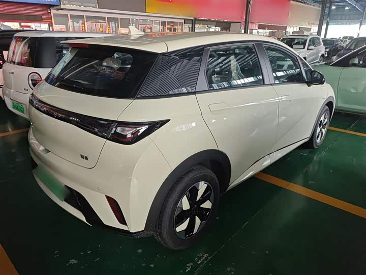 BYD Dolphin 2025 2025款 420km 自由版