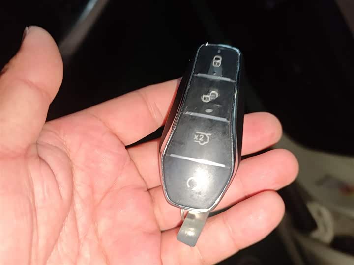 BYD Dolphin 2025 2025款 420km 自由版