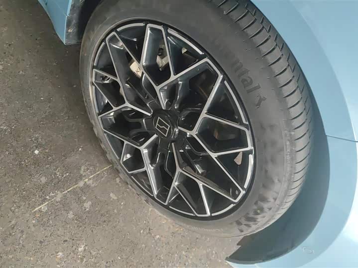 Zeekr 001 2025 2025款 YOU版 100kWh 四驱