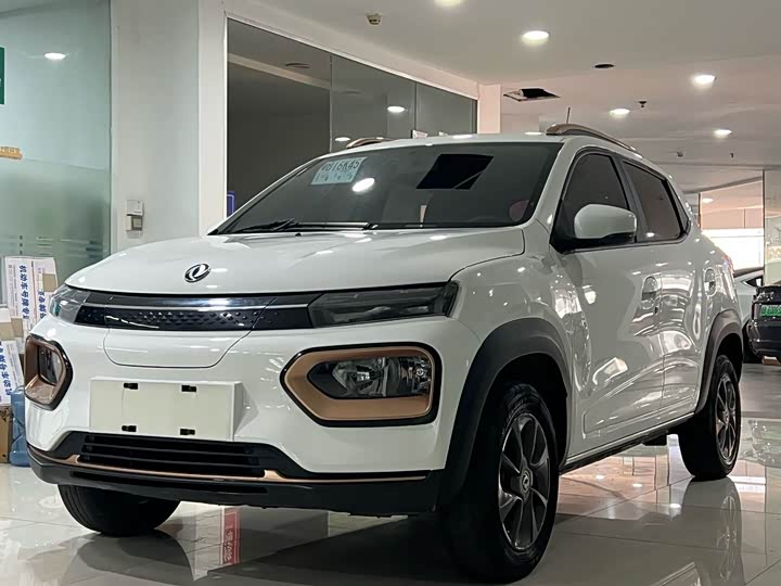 Dongfeng Nammi Nano EX1 2022 2022款 追风版 331KM 进阶型
