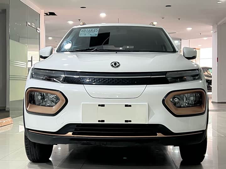 Dongfeng Nammi Nano EX1 2022 2022款 追风版 331KM 进阶型