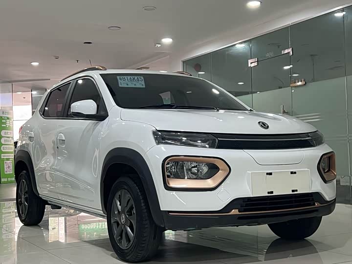 Dongfeng Nammi Nano EX1 2022 2022款 追风版 331KM 进阶型